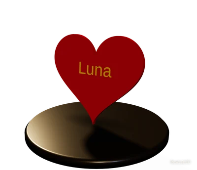 Name: Luna – Namensschild für den Napfständer