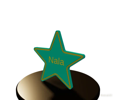 Star with an engraved outline — Name plate for a pet bowl stand